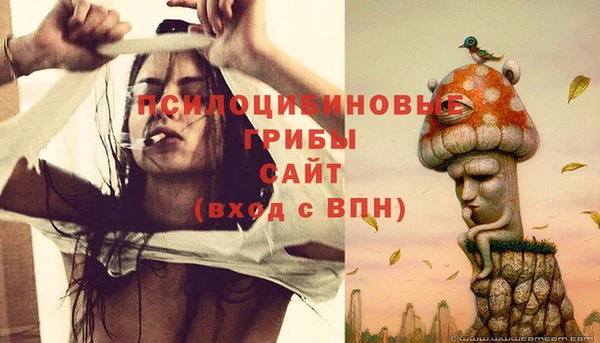 эйфоретик Каменск-Шахтинский