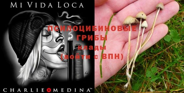 эйфоретик Каменск-Шахтинский